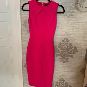Ted Baker Pink Dress